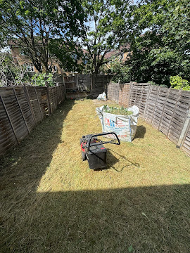 Back garden after a tidy-up and grass cut